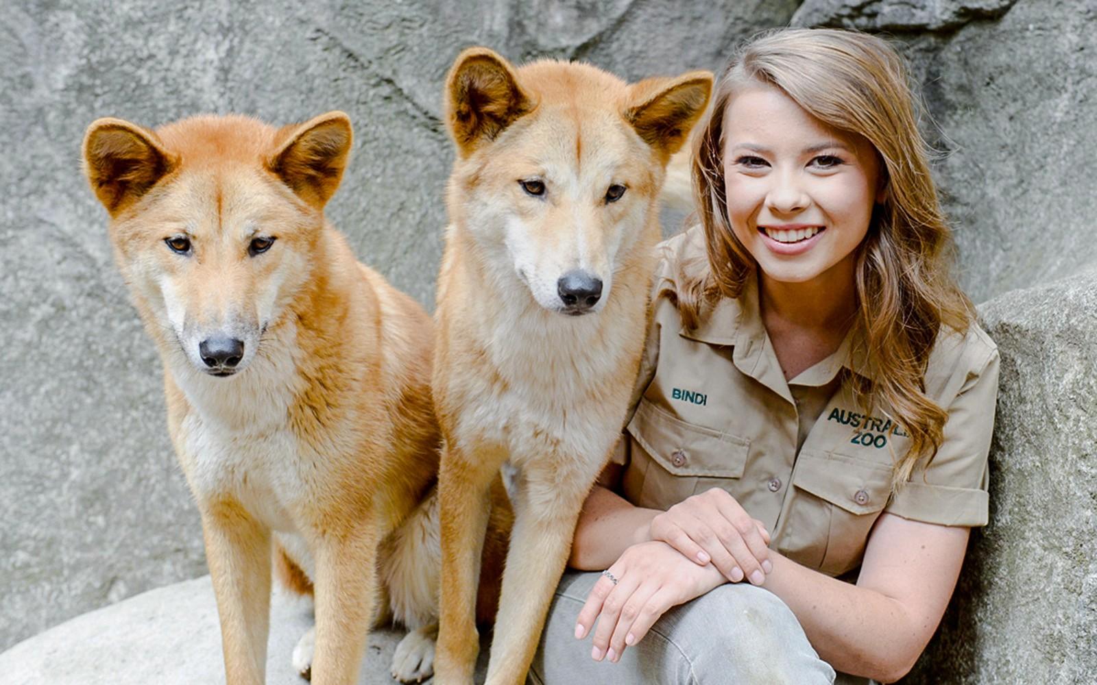 From Brisbane: Australia Zoo Tickets with Transfers