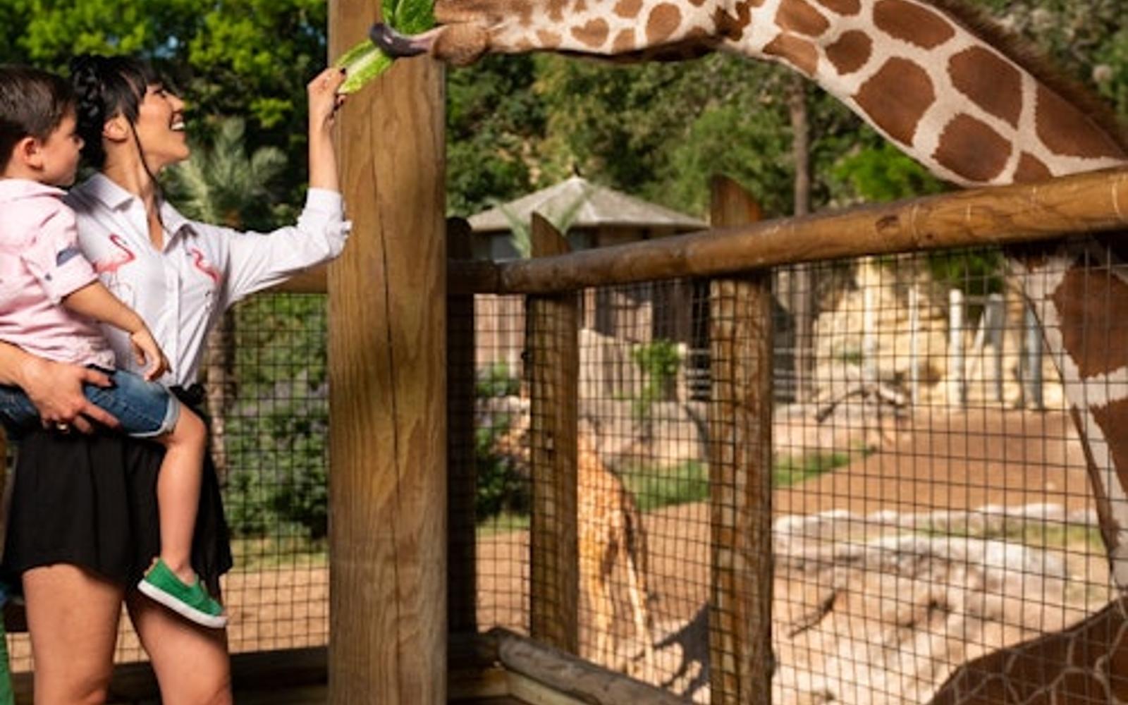San Antonio Zoo Flexible Any-Day Entry Ticket