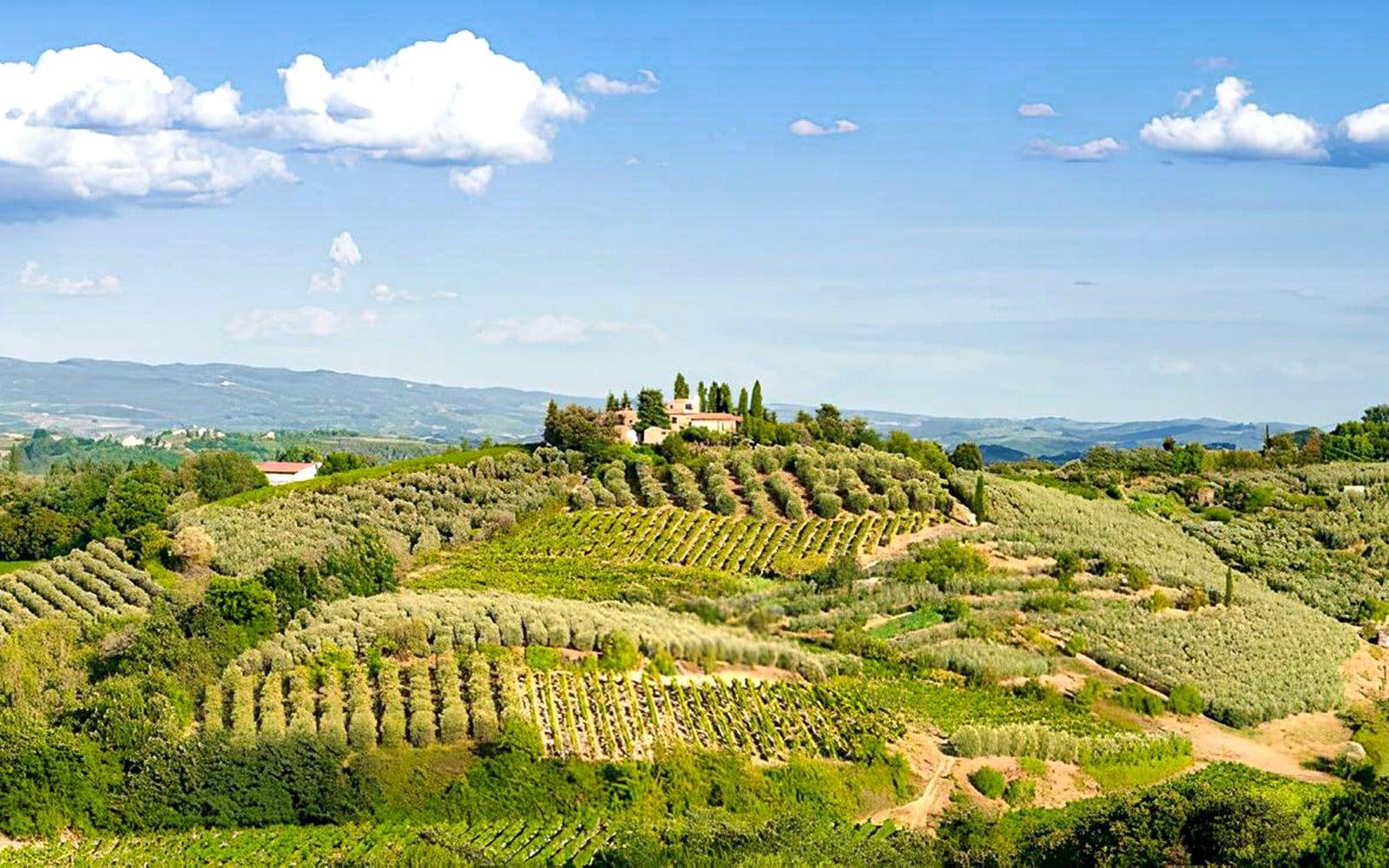 From Florence: Chianti Wine Tasting Tour
