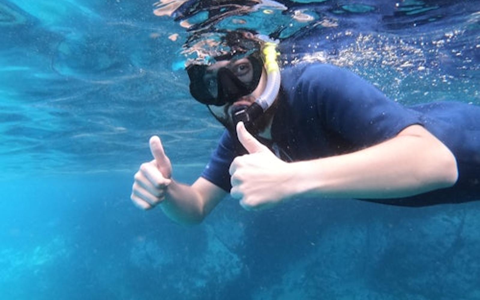 Los Cristianos: Snorkeling on a Lava Reef