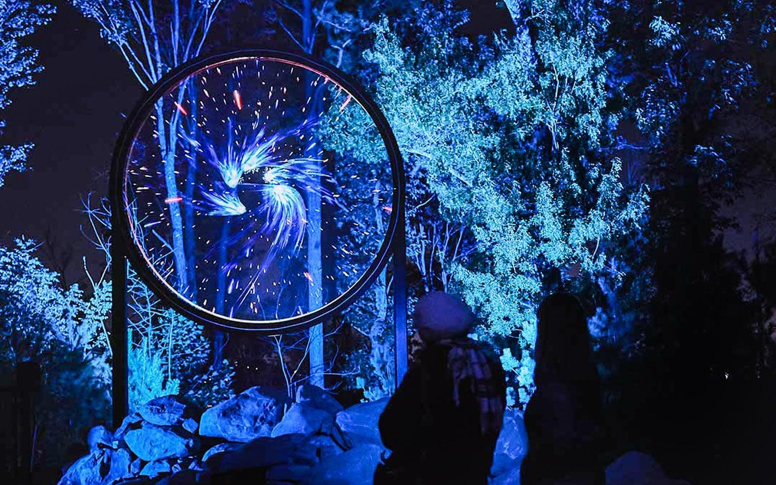 Astra Lumina at Currumbin Wildlife Sanctuary 

