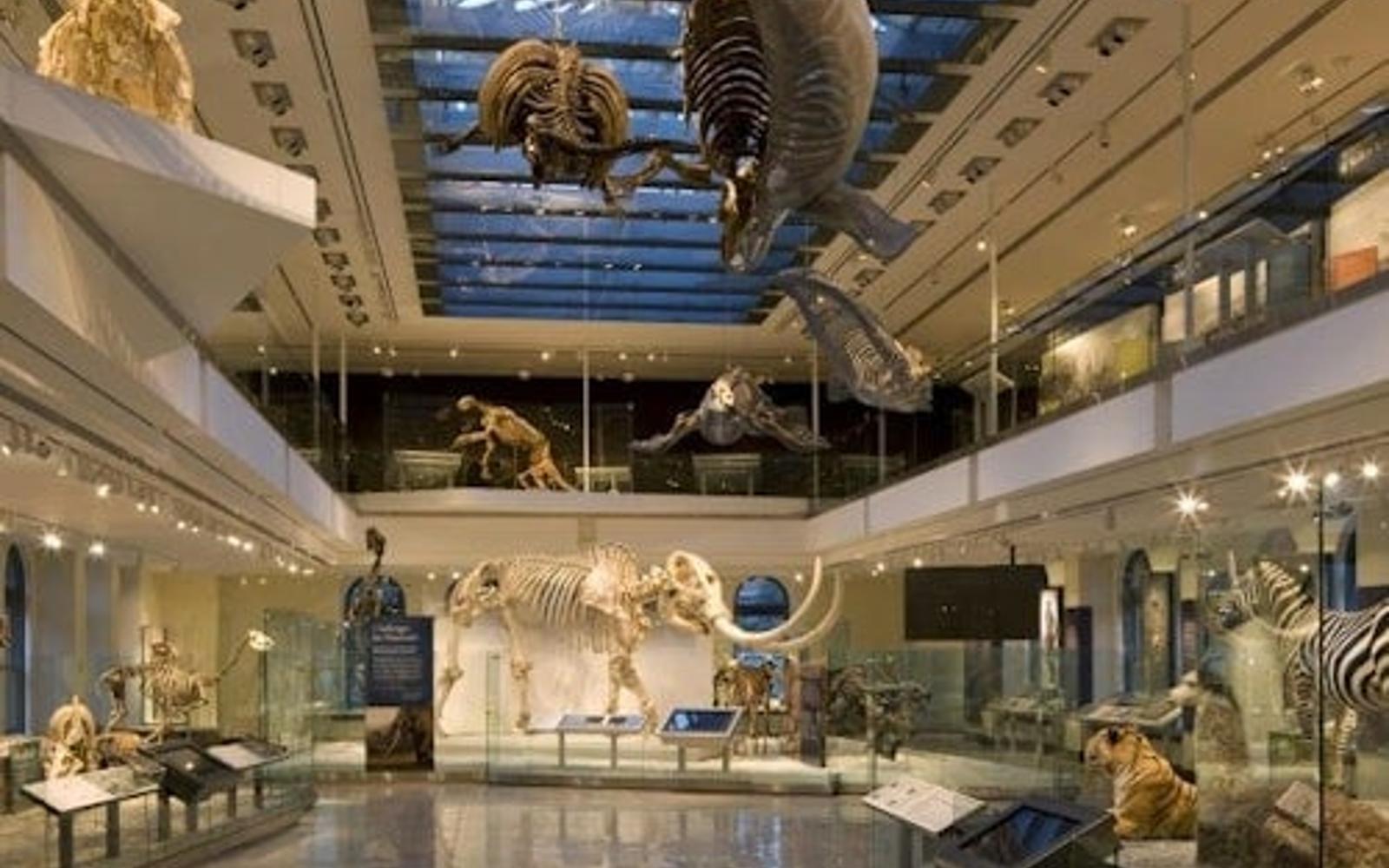بلیط های ورود به موزه تاریخ طبیعی وین tickets at Natural History Museum of Los Angeles County, Los Angeles