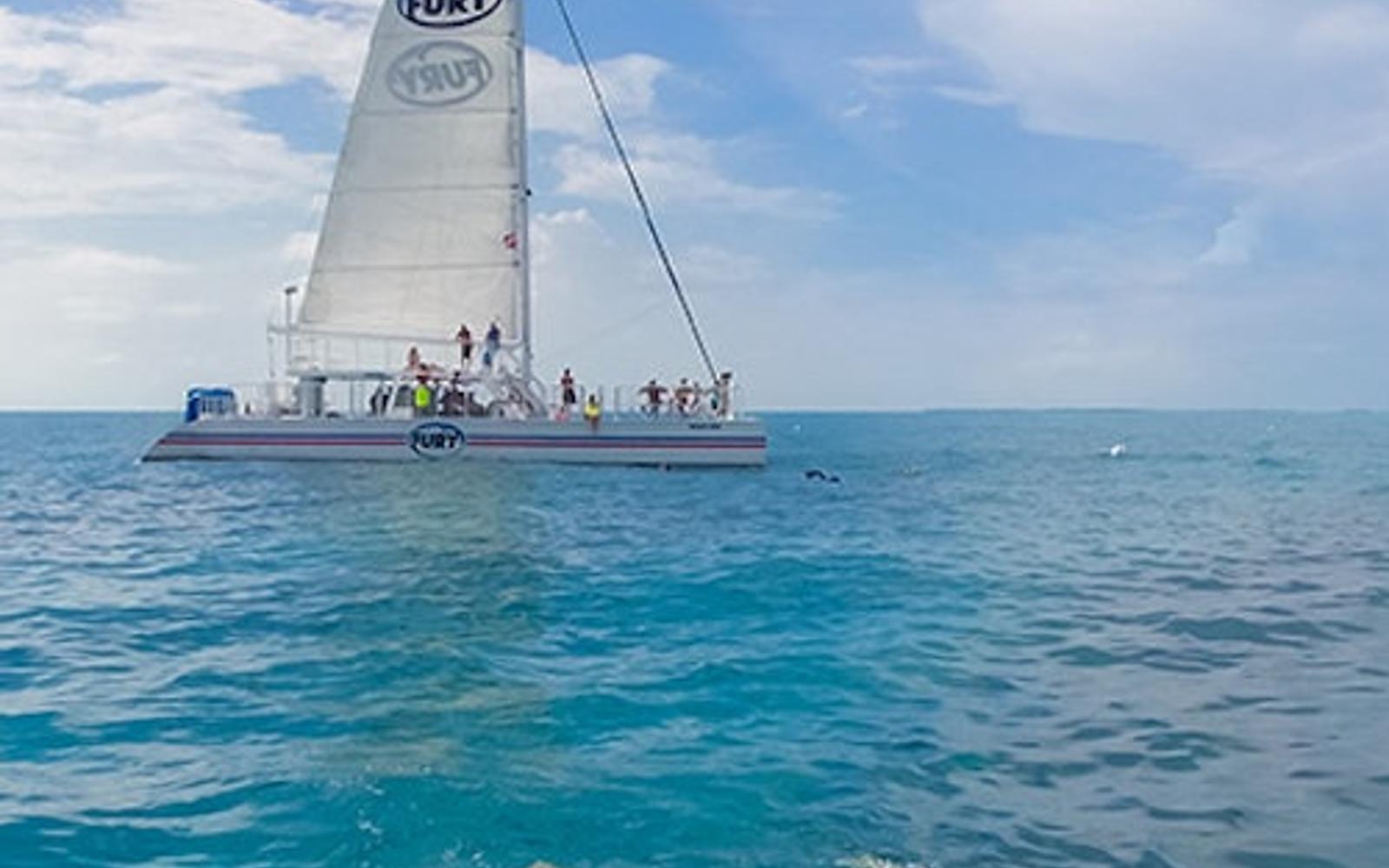 کی وست: تور اسنورکل صبحگاهی tickets, Key West