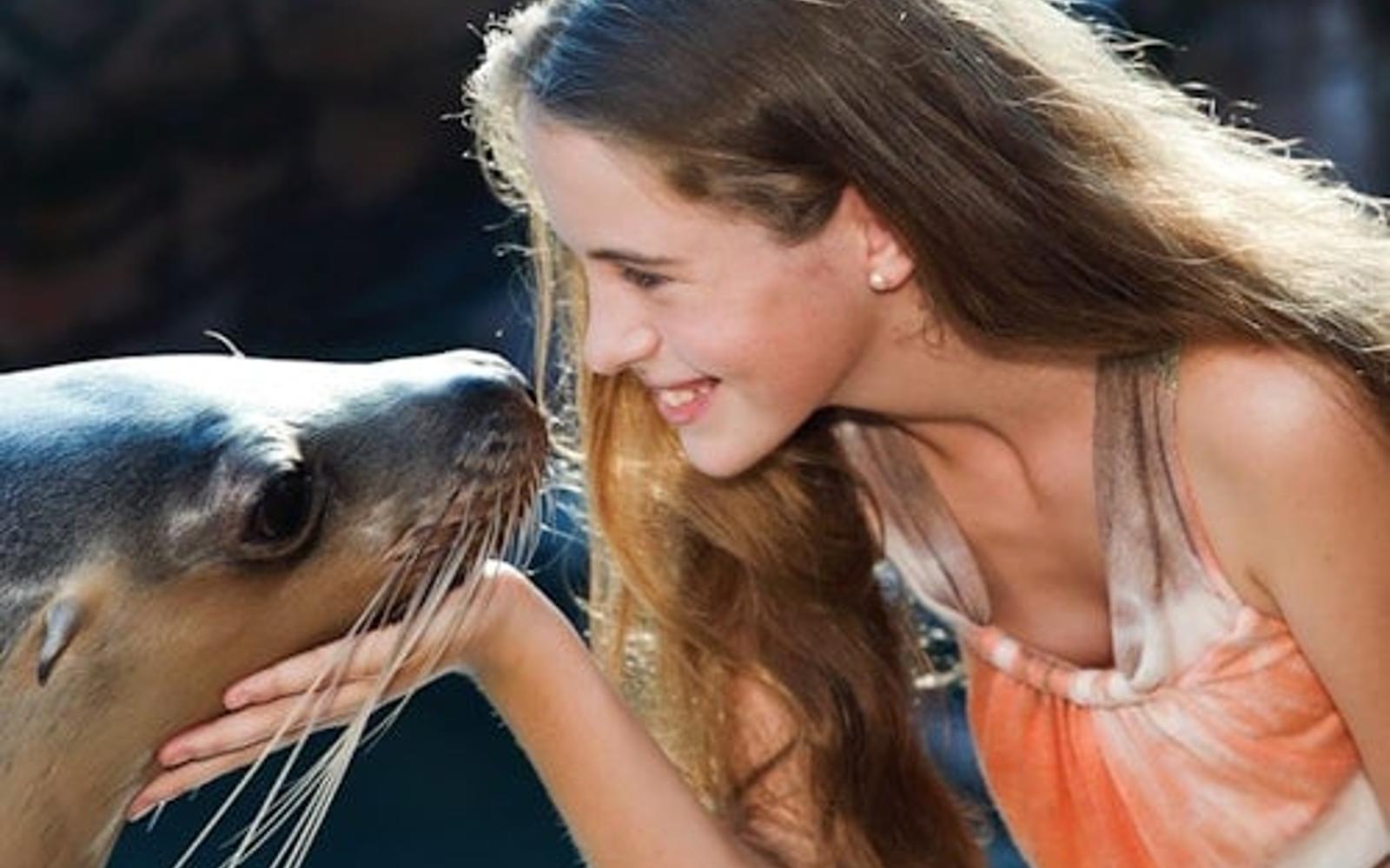 Seal Swim at SEA LIFE Sunshine Coast tickets at SEA LIFE Sunshine Coast, Mooloolaba