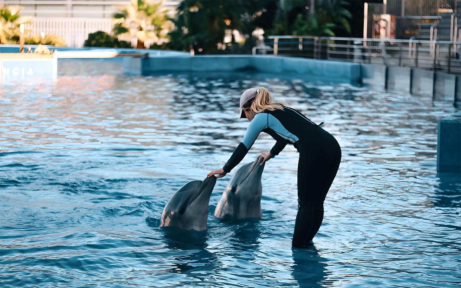 Combo: Oceanogràfic + Hemisfèric Tickets