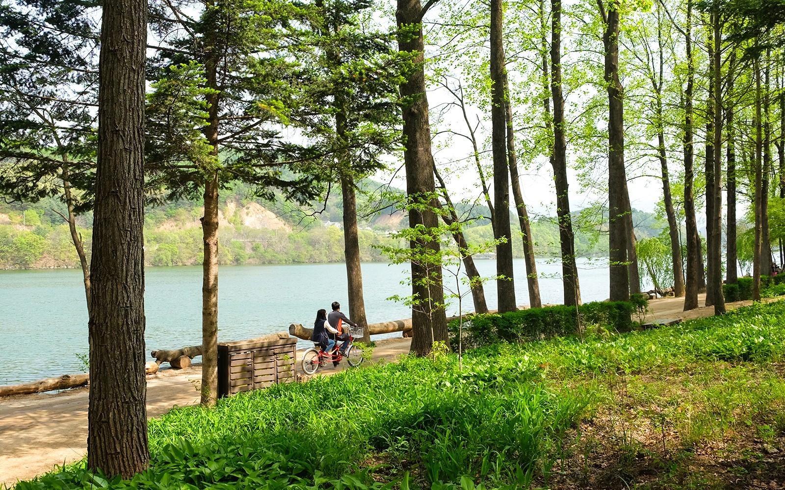 Nami Island & Mount Seorak Day Tour tickets, Seoul