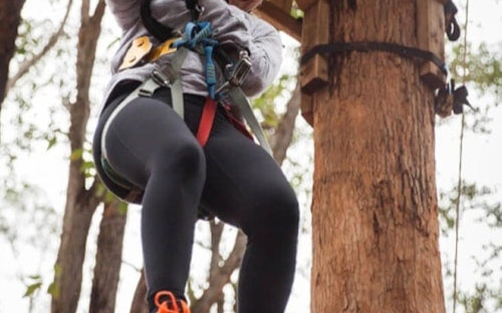 Dwellingup: Treetops Adventure