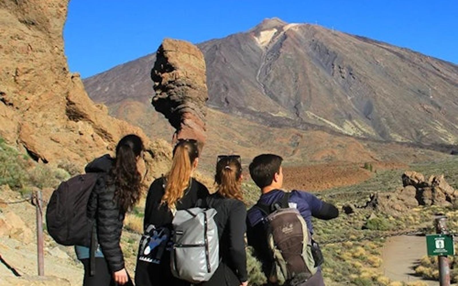 特內里費：半日導覽提德國家公園 tickets, Tenerife
