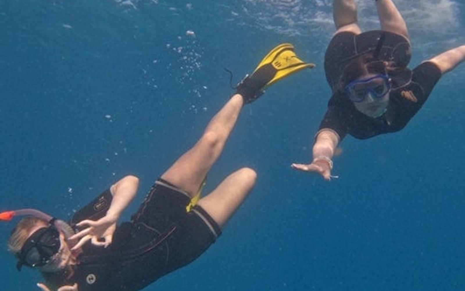 Tenerife: Experiència Guiada de Snorkel