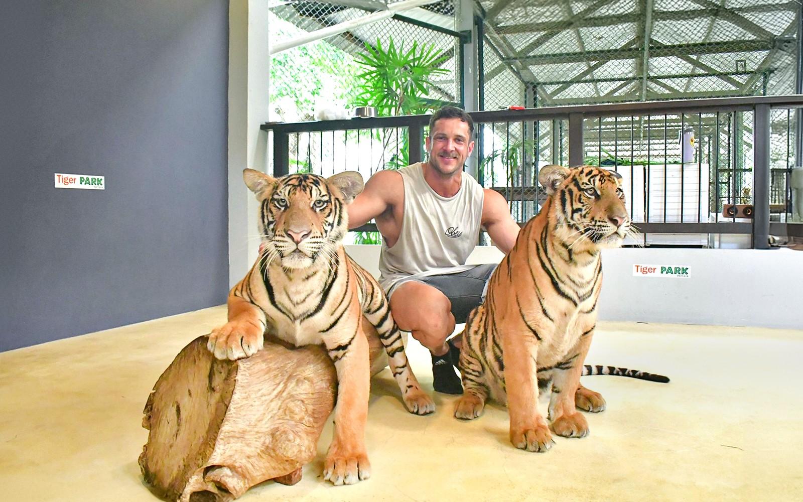 Tiger Park Tickets with Tiger Interactions: Non-Thai Residents