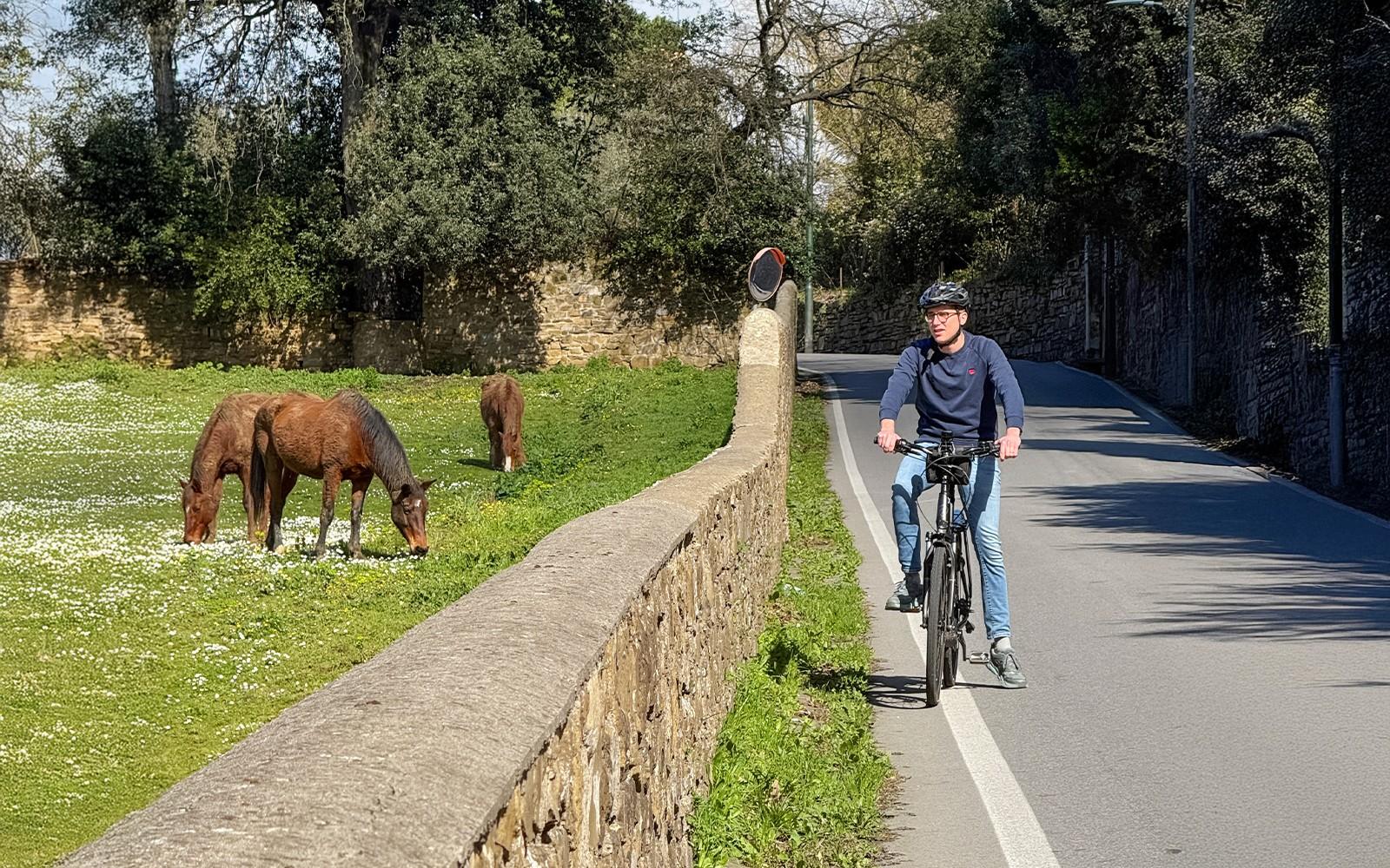 From Florence: E-Bike Tour through Tuscany & Chianti with Lunch