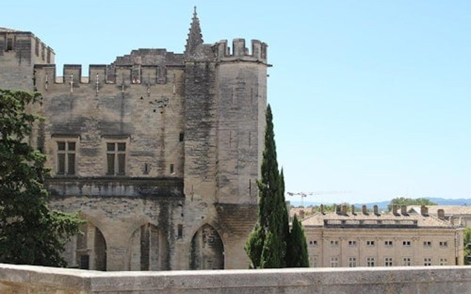 Palace of the Popes & Gardens: Entry Ticket