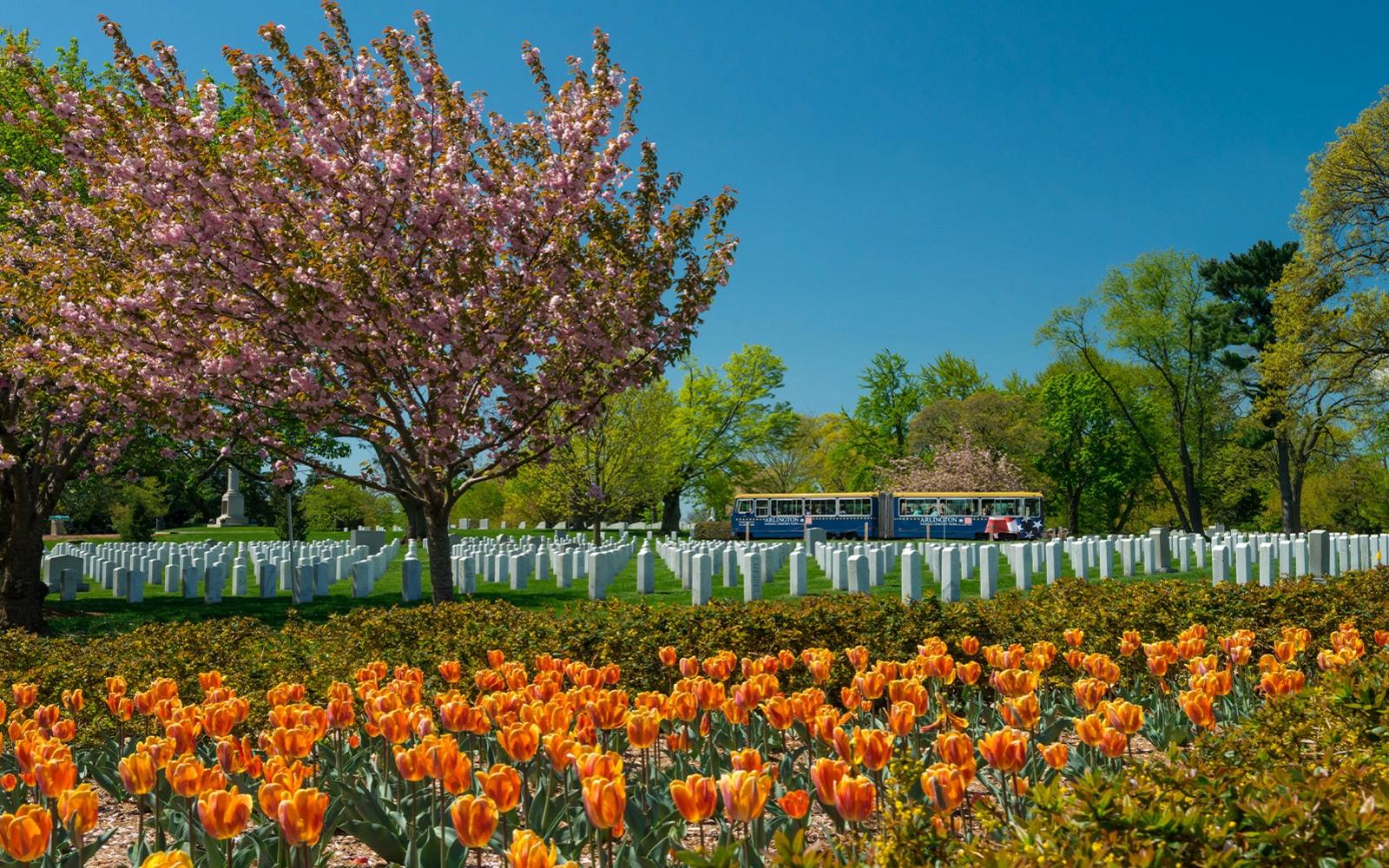 تور گورستان ملی آرلینگتون tickets at Arlington National Cemetery Welcome Center, واشینگتن دی‌سی