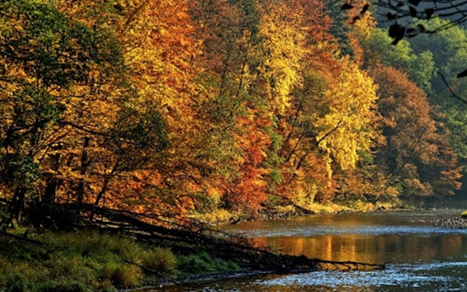 Krakow: Dunajec River Rafting Tour, Roundtrip Transfer + Lunch