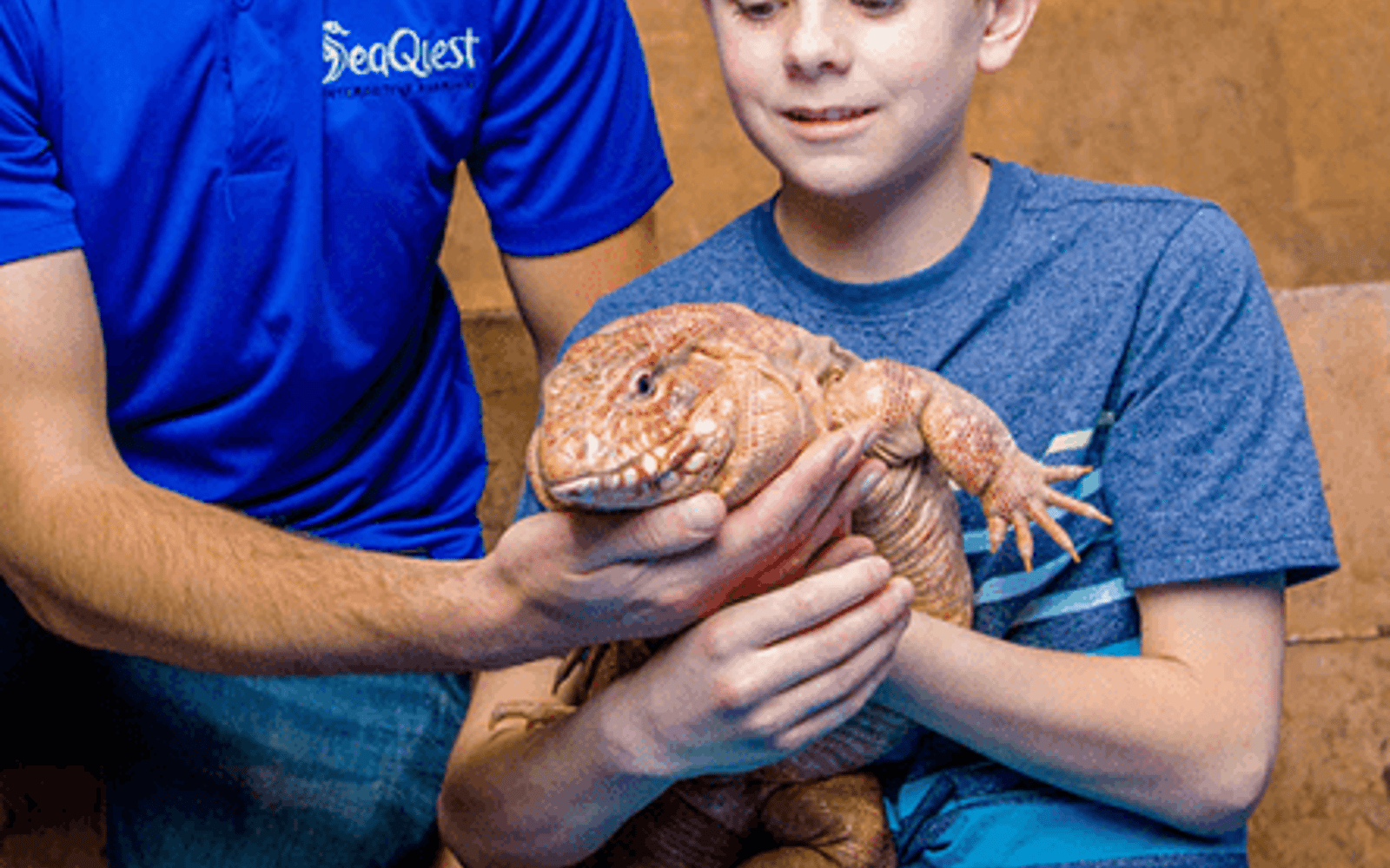 SeaQuest Las Vegas tickets at SeaQuest Las Vegas, Las Vegas