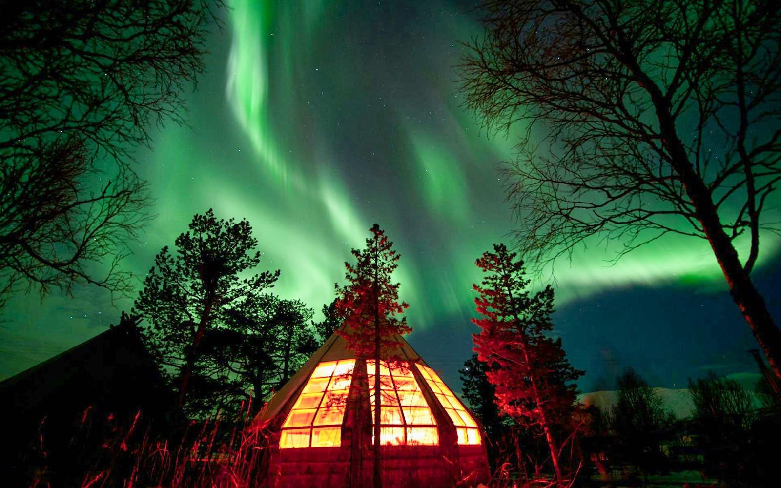 Tromso: Northern Lights & Husky Visit with Traditional Dinner