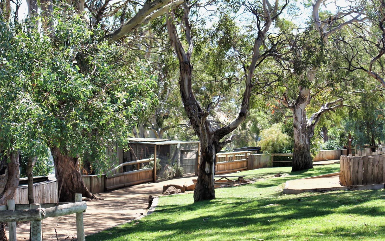 Bonorong Wildlife Sanctuary Tickets
