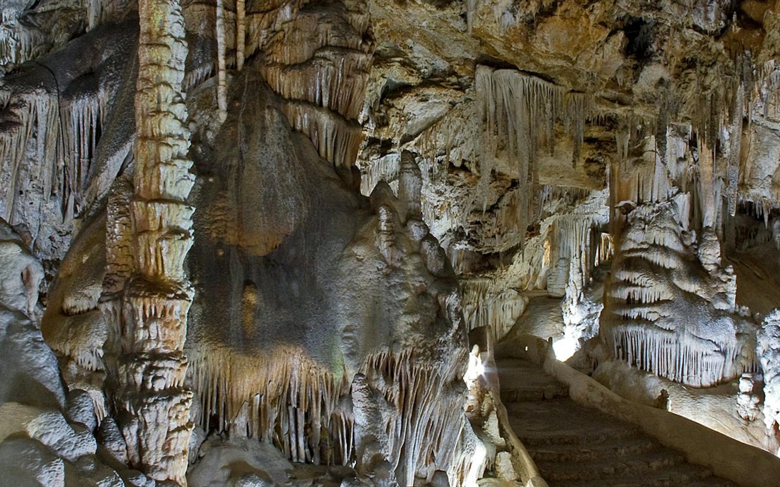 Campanet Caves: Skip The Line Ticket