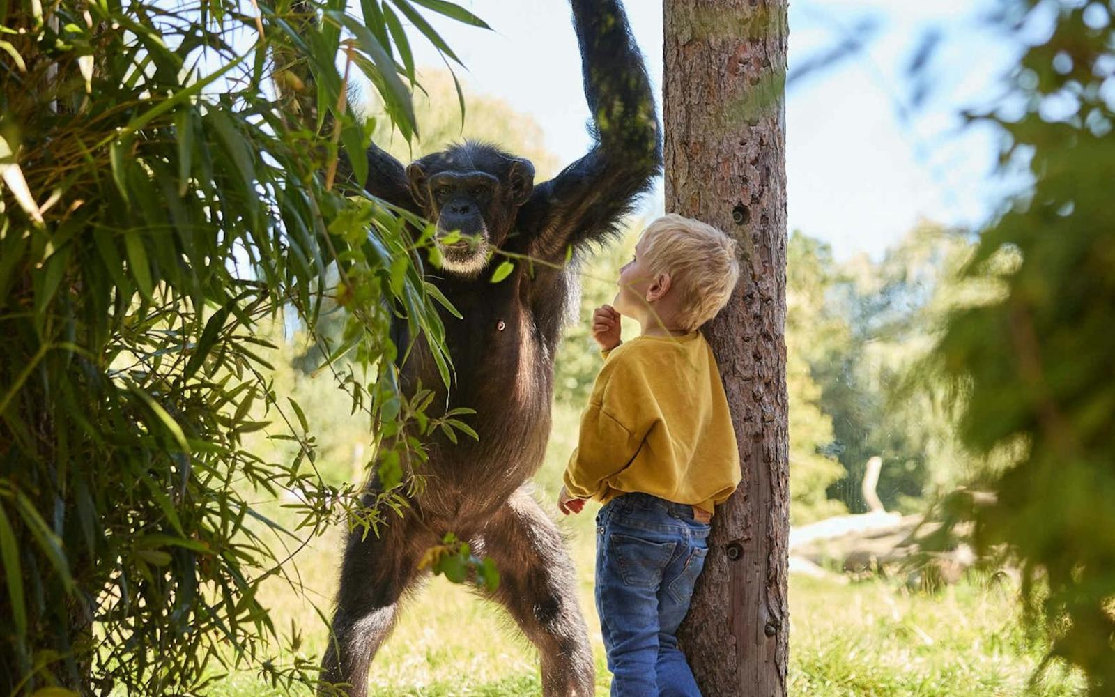 Eindhoven Zoo