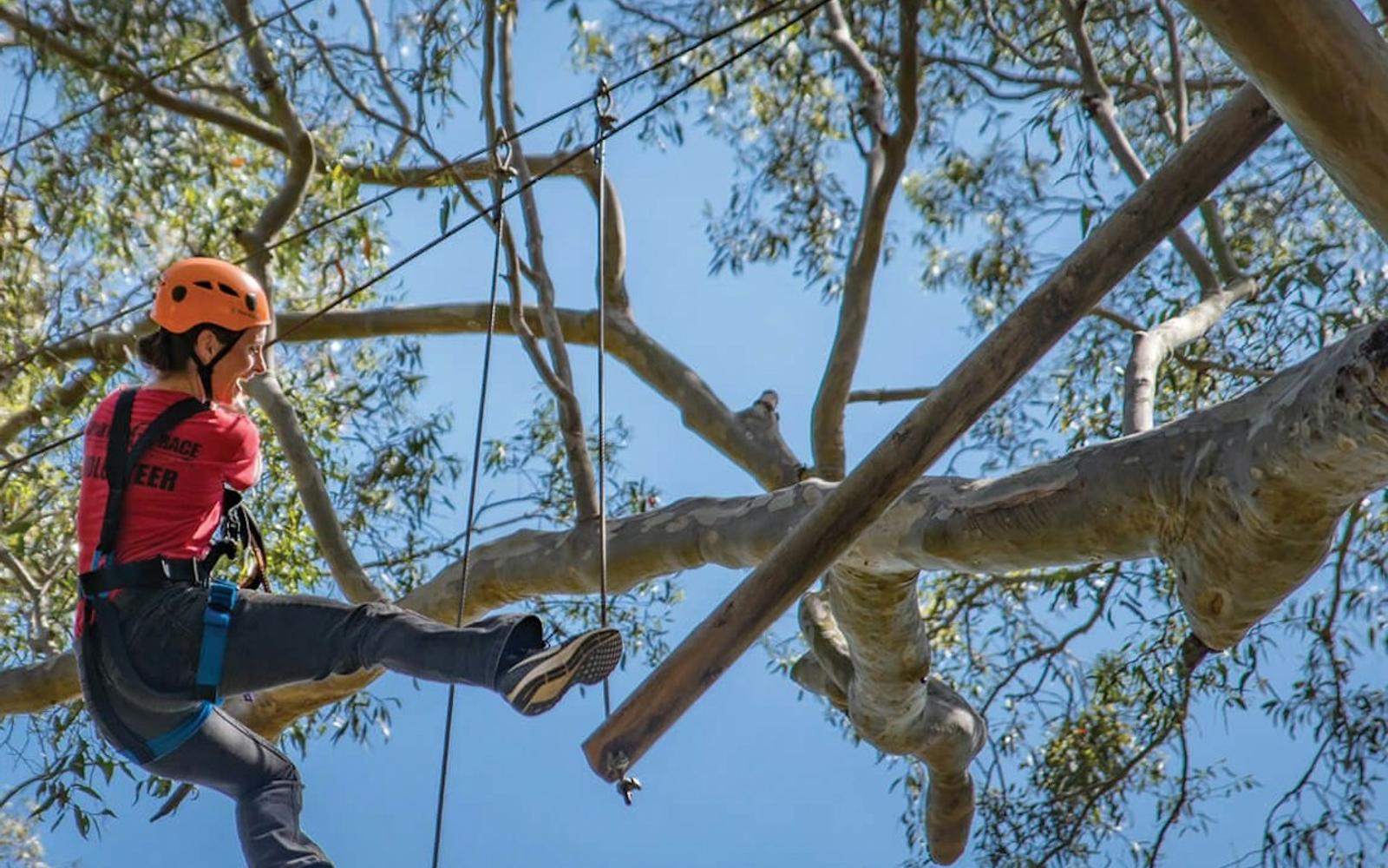 Western Sydney: Treetops Adventure