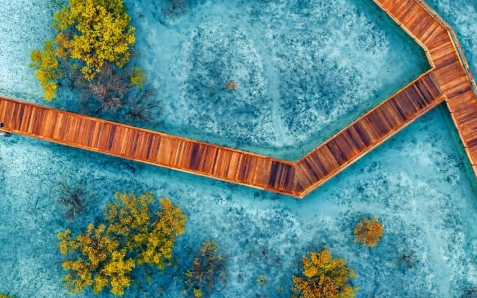 Jubail Mangrove Park: Boardwalk Experience Tour
