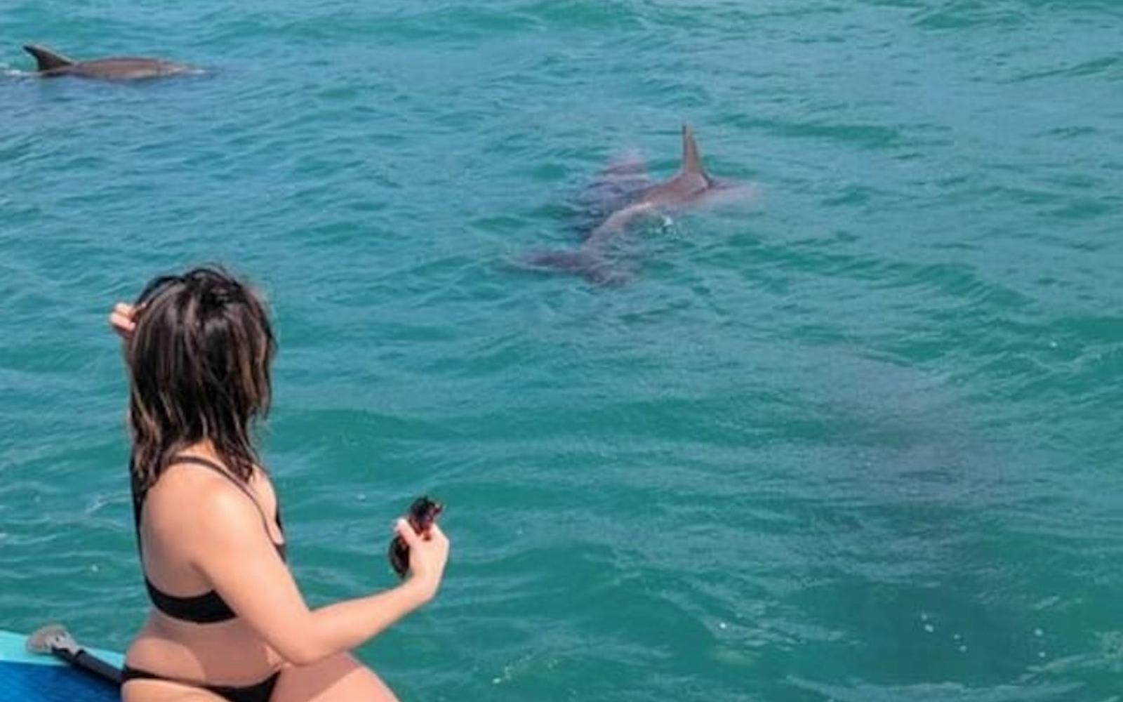 Miami: Nature & Island Exploration on SUP/Kayak tickets at Miami Water Activities, Miami