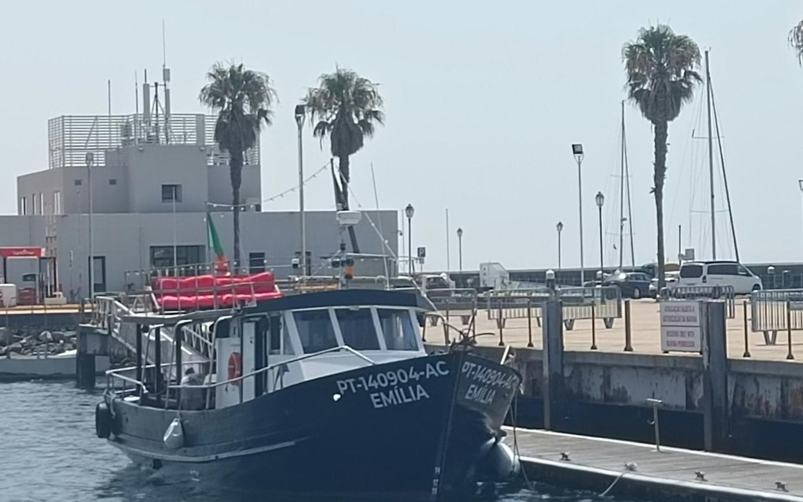 Cascais: Guided Coastal Cruise + Drinks
