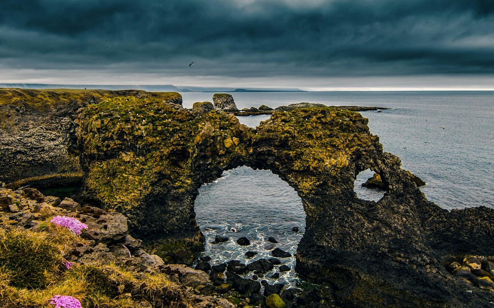 Snæfellsnes: Black Beach Day Trip + Dinner