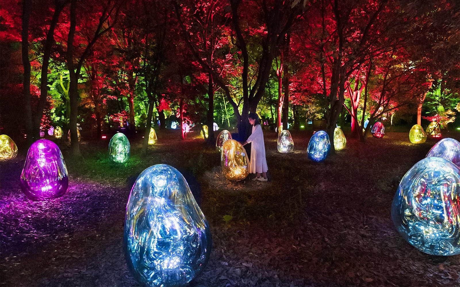 Bilete pentru teamLab Grădina Botanică din Osaka tickets at teamLab Botanical Garden, Osaka