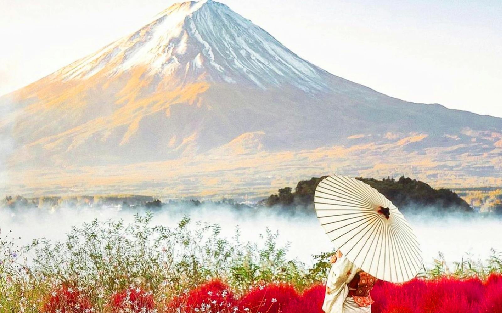 Mount Fuji Guided Day Tour with Kachikachi Ropeway & Matcha-Making Experience tickets, Tokyo