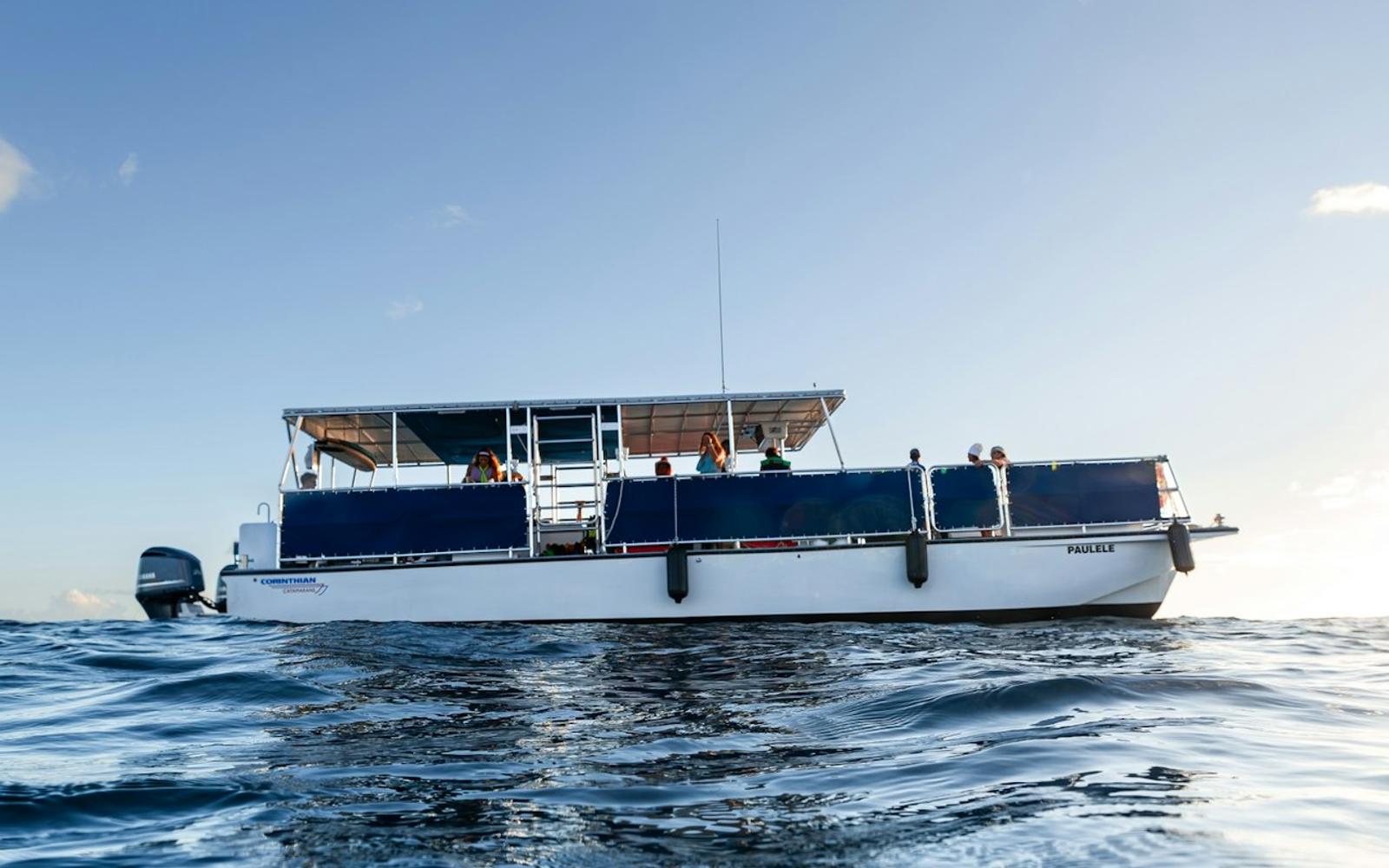 Turtle Canyon: Snorkel Tour