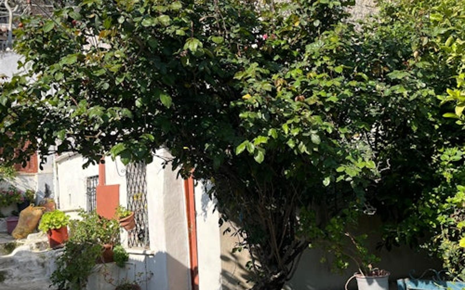 Μπρισμπέιν: Ξενάγηση στην πόλη με ξεναγό