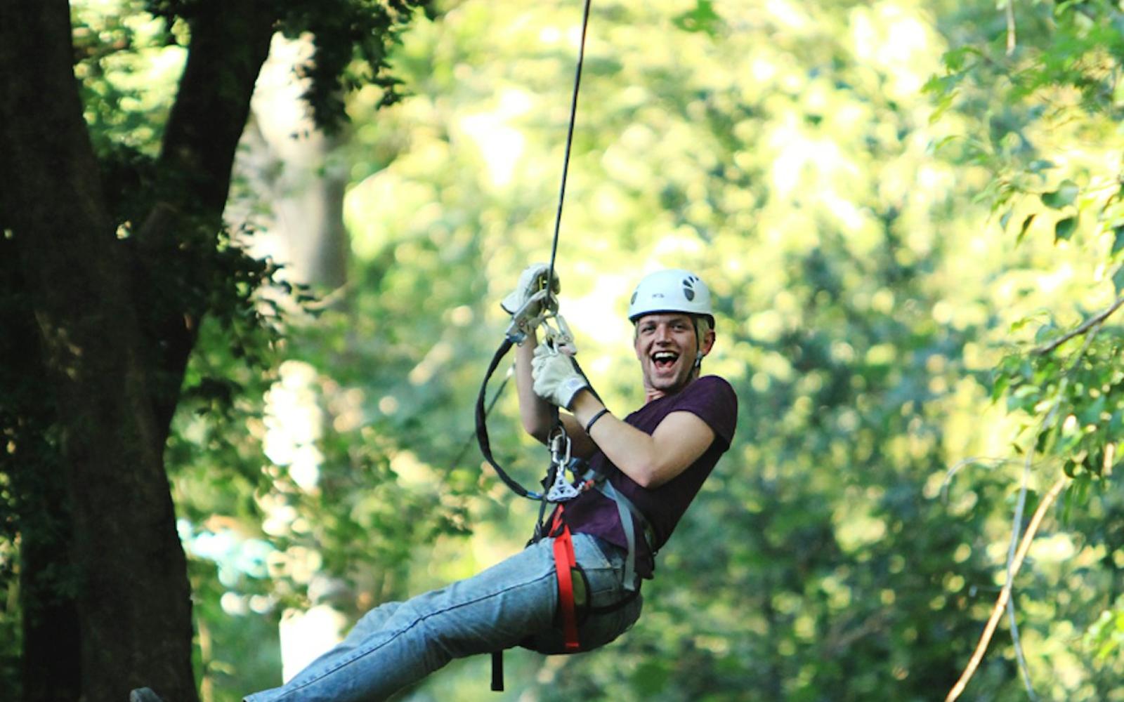 Treetops Adventure: Belgrave Park