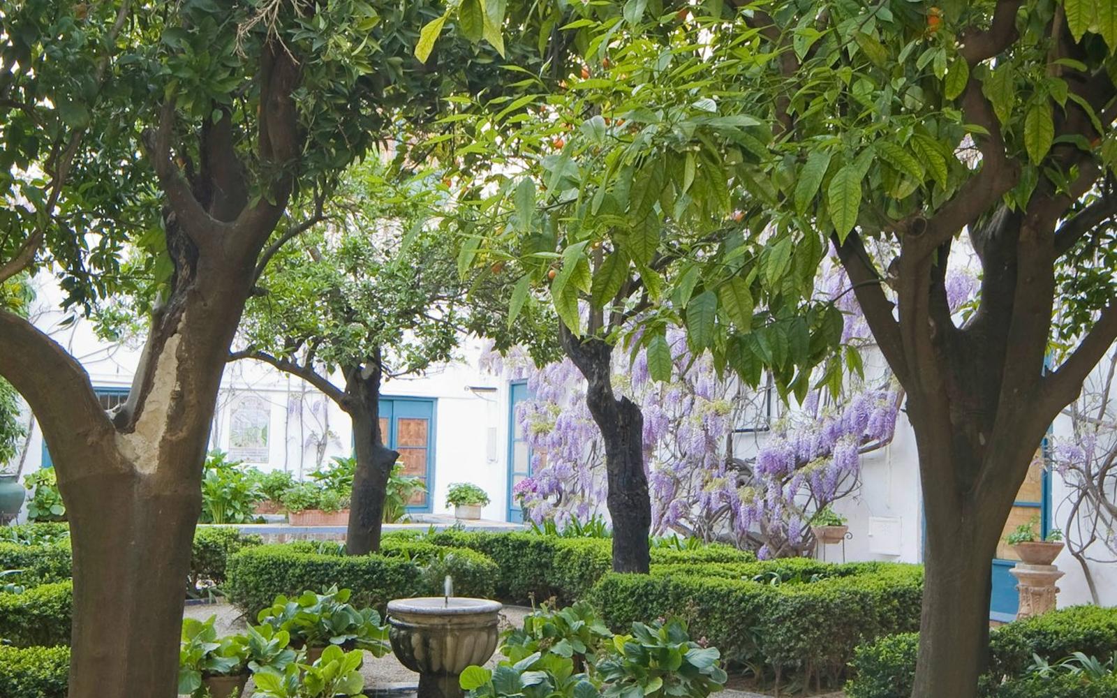 Viana Palace: Guided Tour