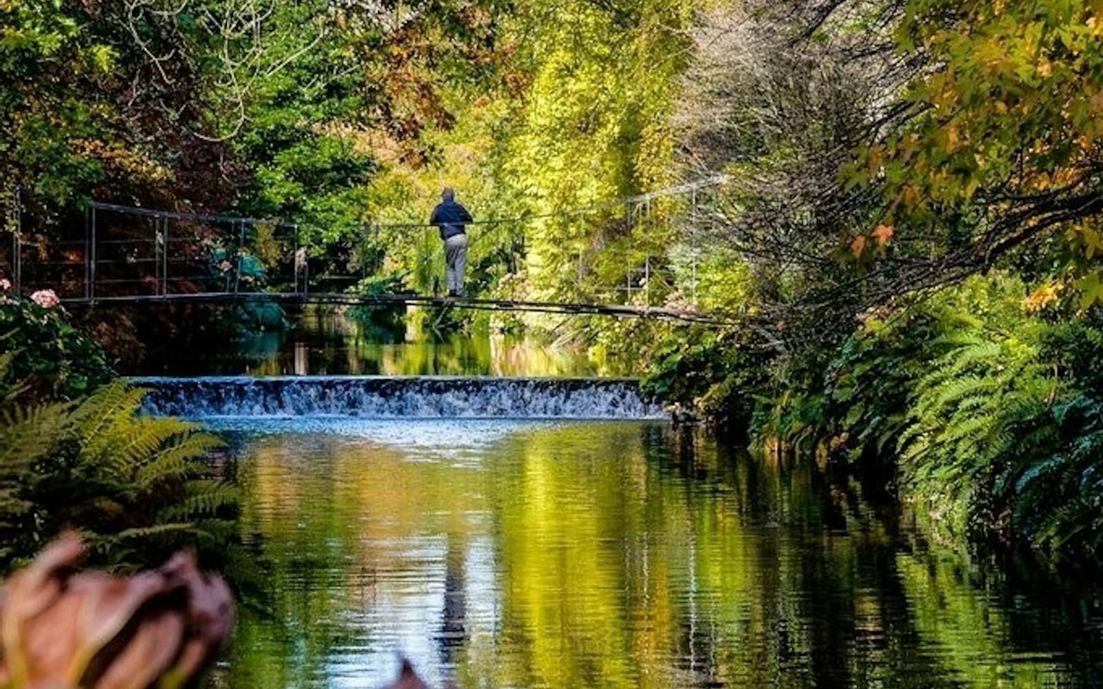 Avoca Mount Usher Gardens: Self Guided Experience
