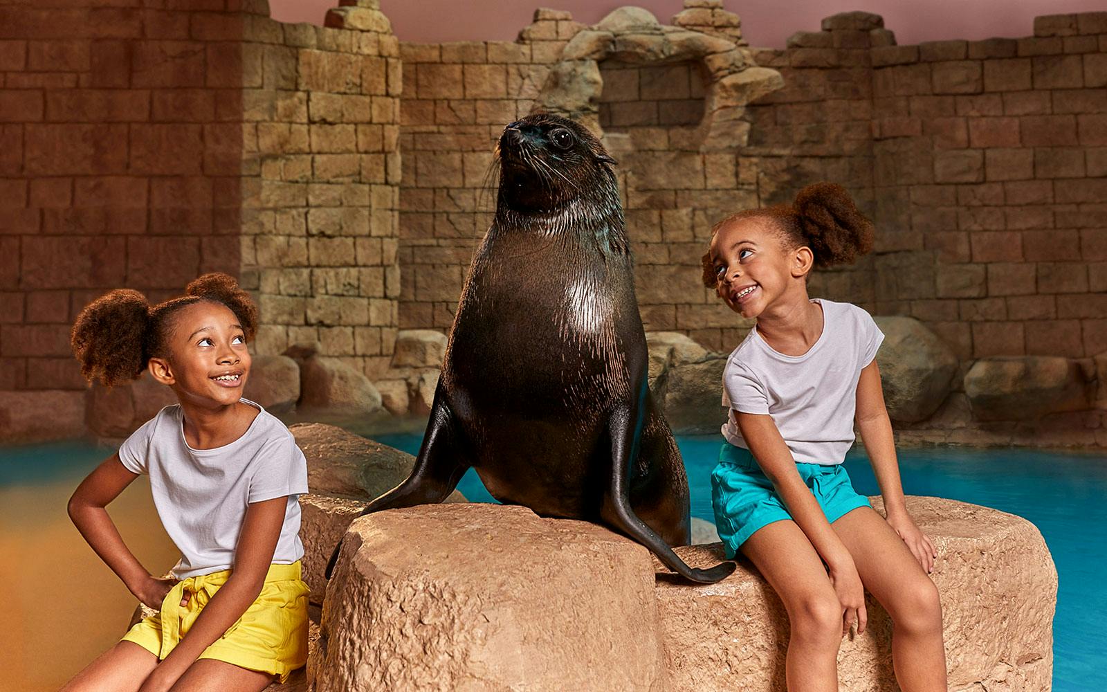 Sea Lion Encounter with Aquaventure Waterpark Tickets, Dubai
