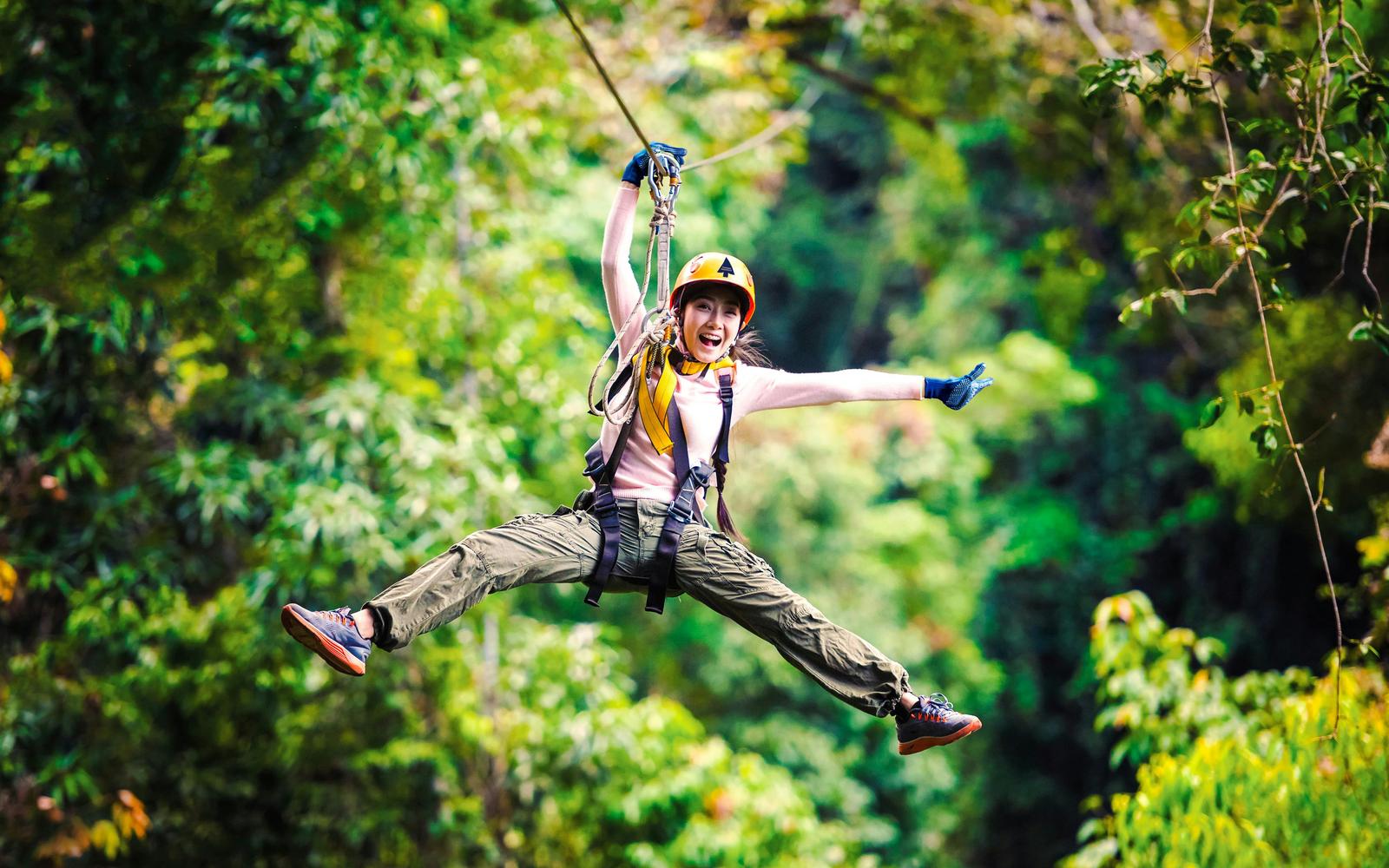 Treetops Adventure Zipline Cape Tribulation Canopy Tour tickets at Treetops Adventure Zipline Cape Tribulation, Cairns