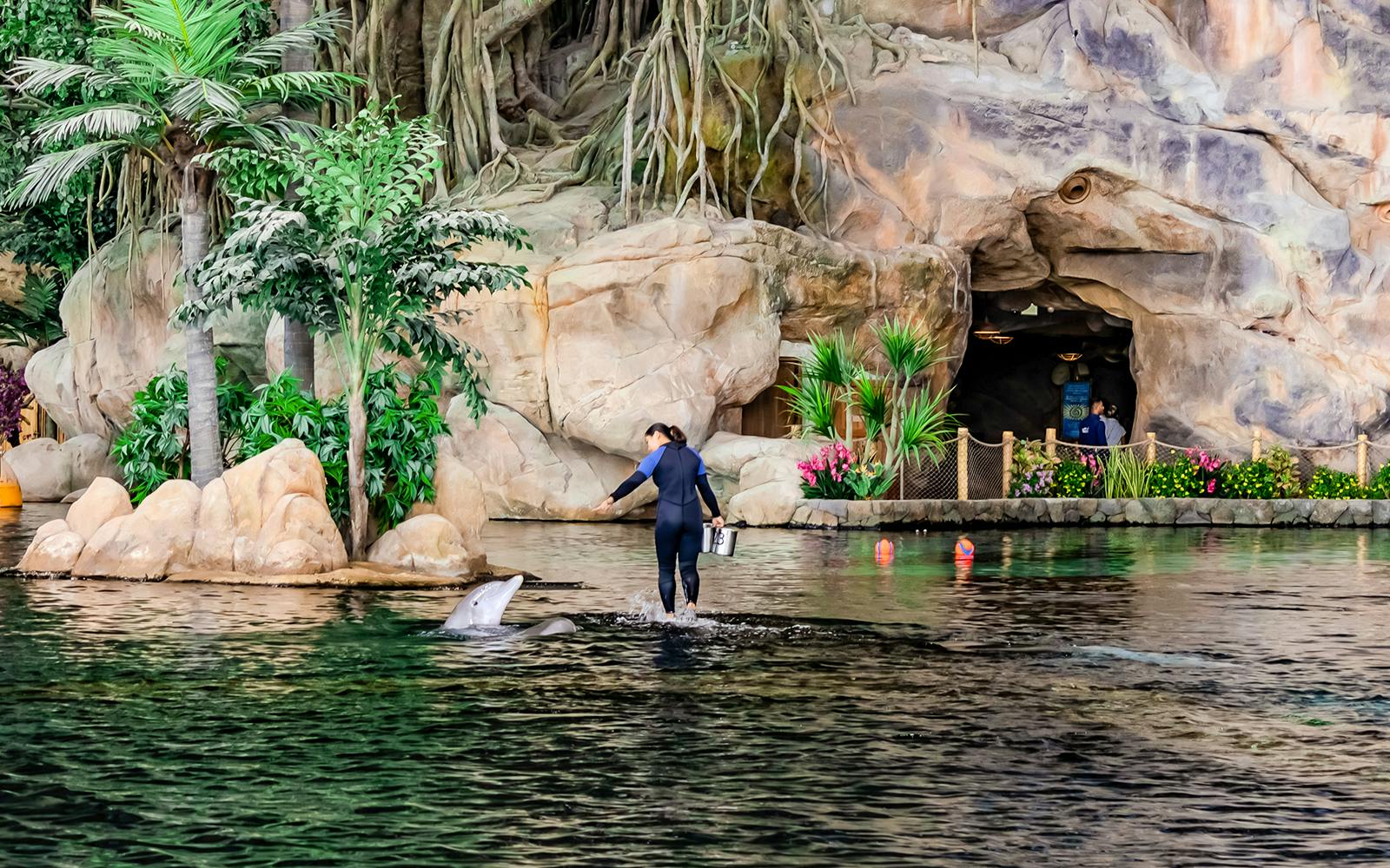 SeaWorld Abu Dhabi Quick Pass