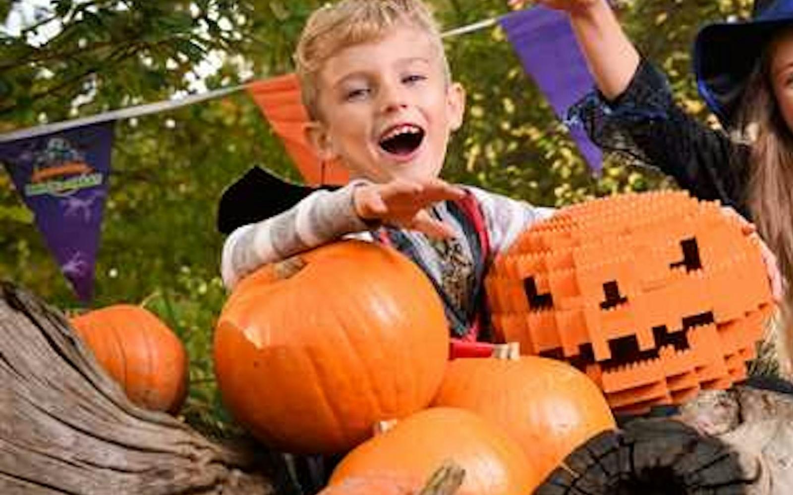 LEGOLAND® Discovery Center Westchester: Entry Ticket at LEGOLAND® Discovery Center Westchester, New York