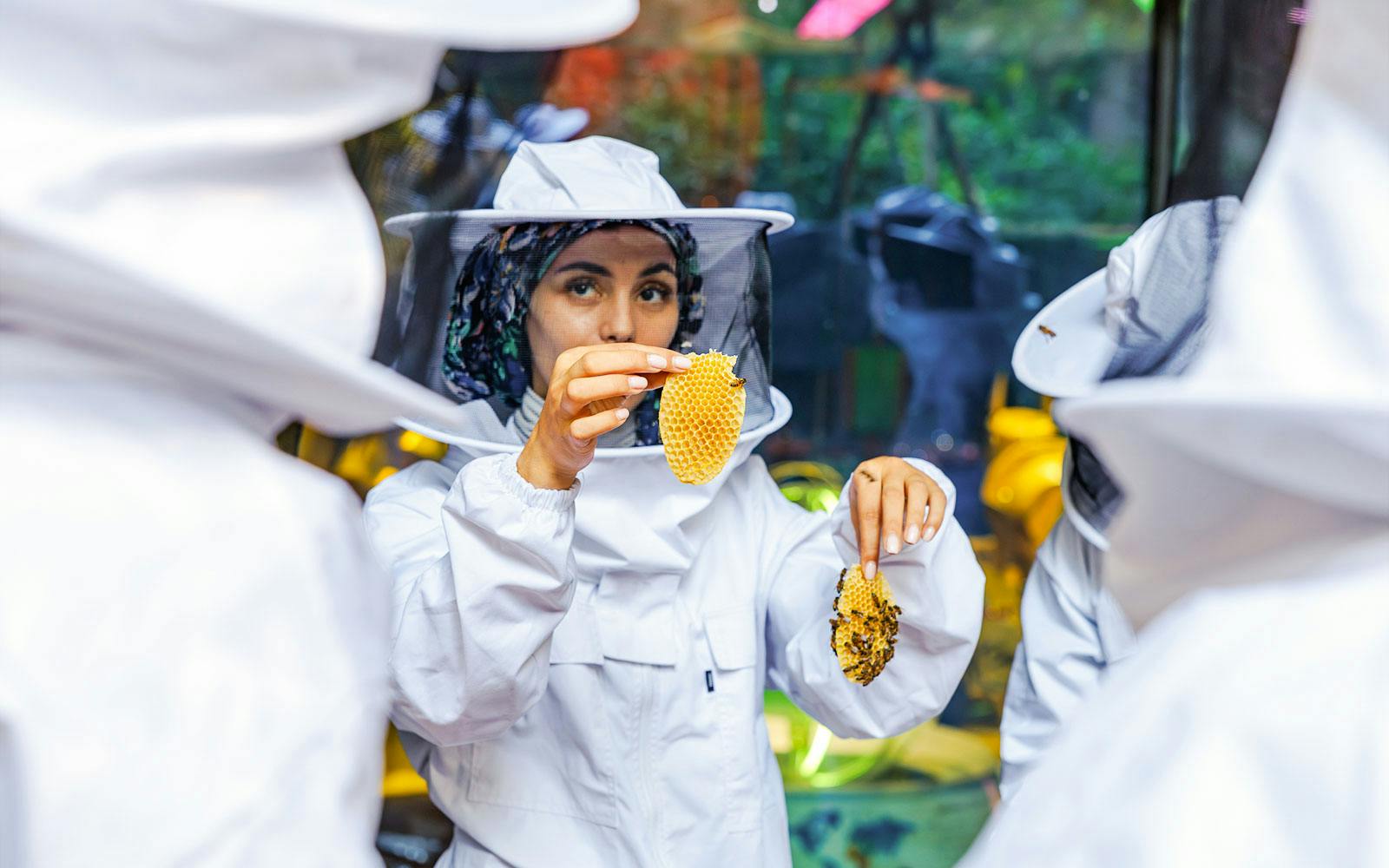 Expo City: Beeking Experience at Terra Tickets at Expo City, دبی