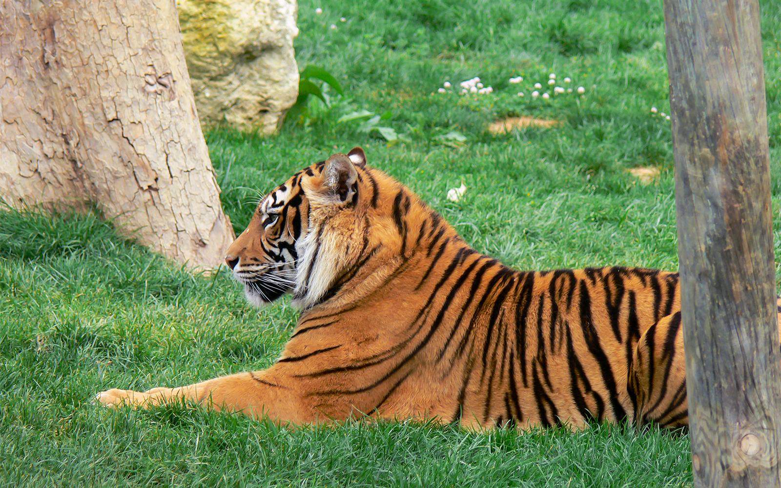 Jardim Zoológico Tickets at Jardim Zoológico, Lisbon