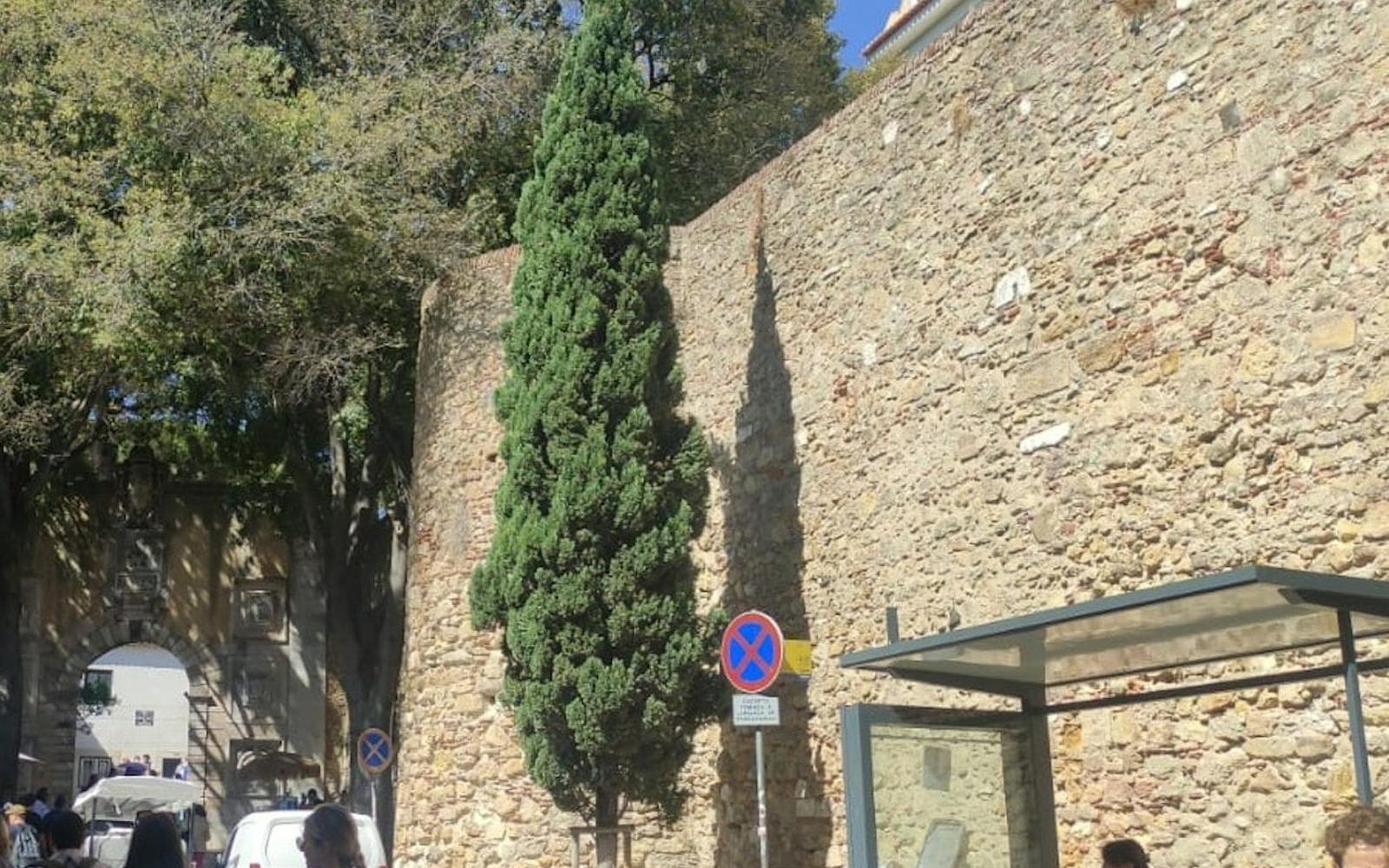São Jorge Castle: Small Group Guided Tour