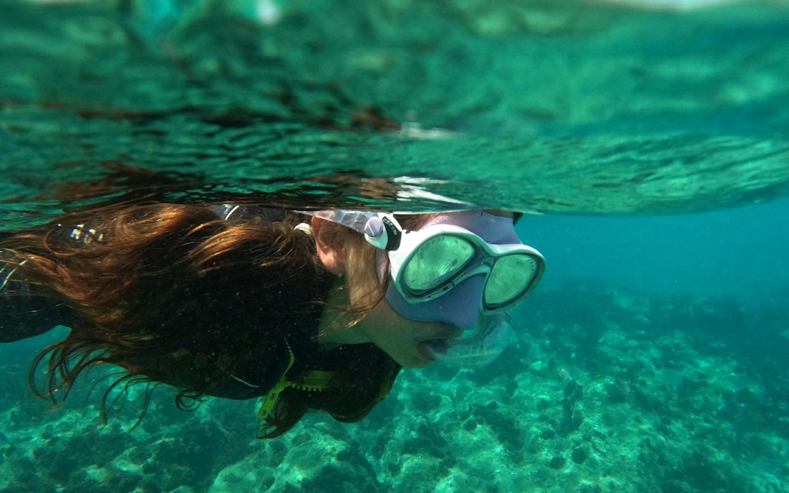 Playa Blanca: Guided Snorkeling Experience + Transfers tickets at Lanzarote Water Sports, Lanzarote