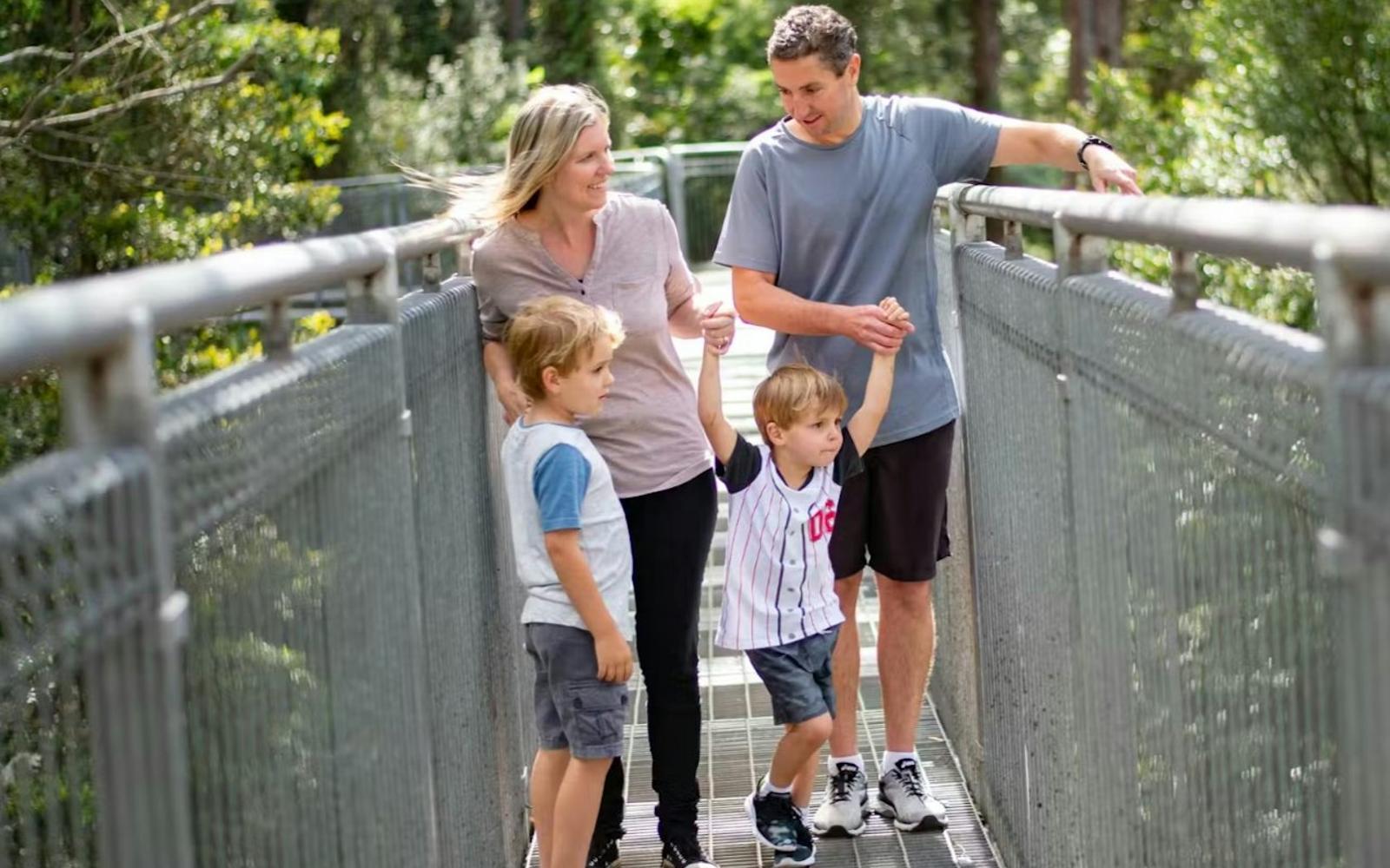 Illawarra Fly Treetop Adventures: Treetop Walk