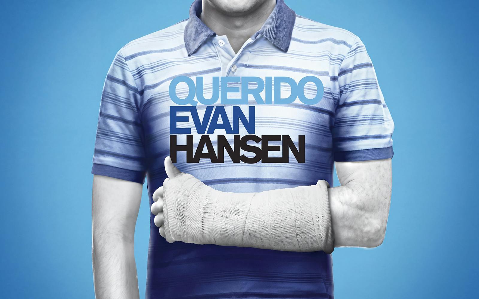 Dear Evan Hansen, The Musical