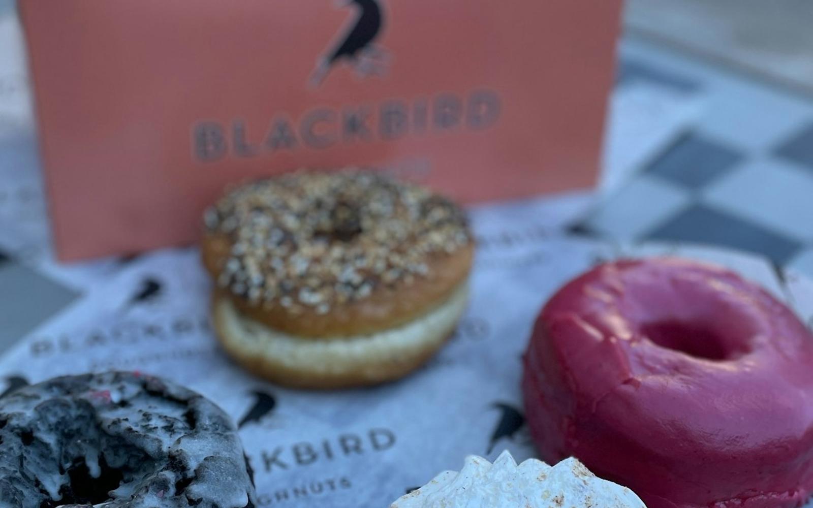 Boston: Harvard Square Guided Donut Tour