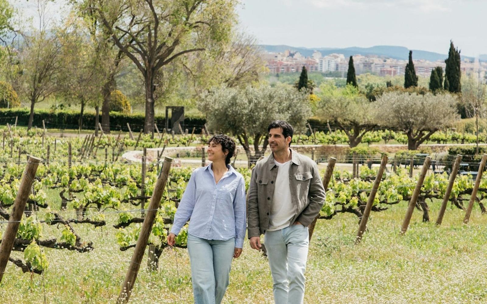 Torres Winery: Guided Tour + Wine & Tapas Pairing tickets at Torres Winery, Barcelona