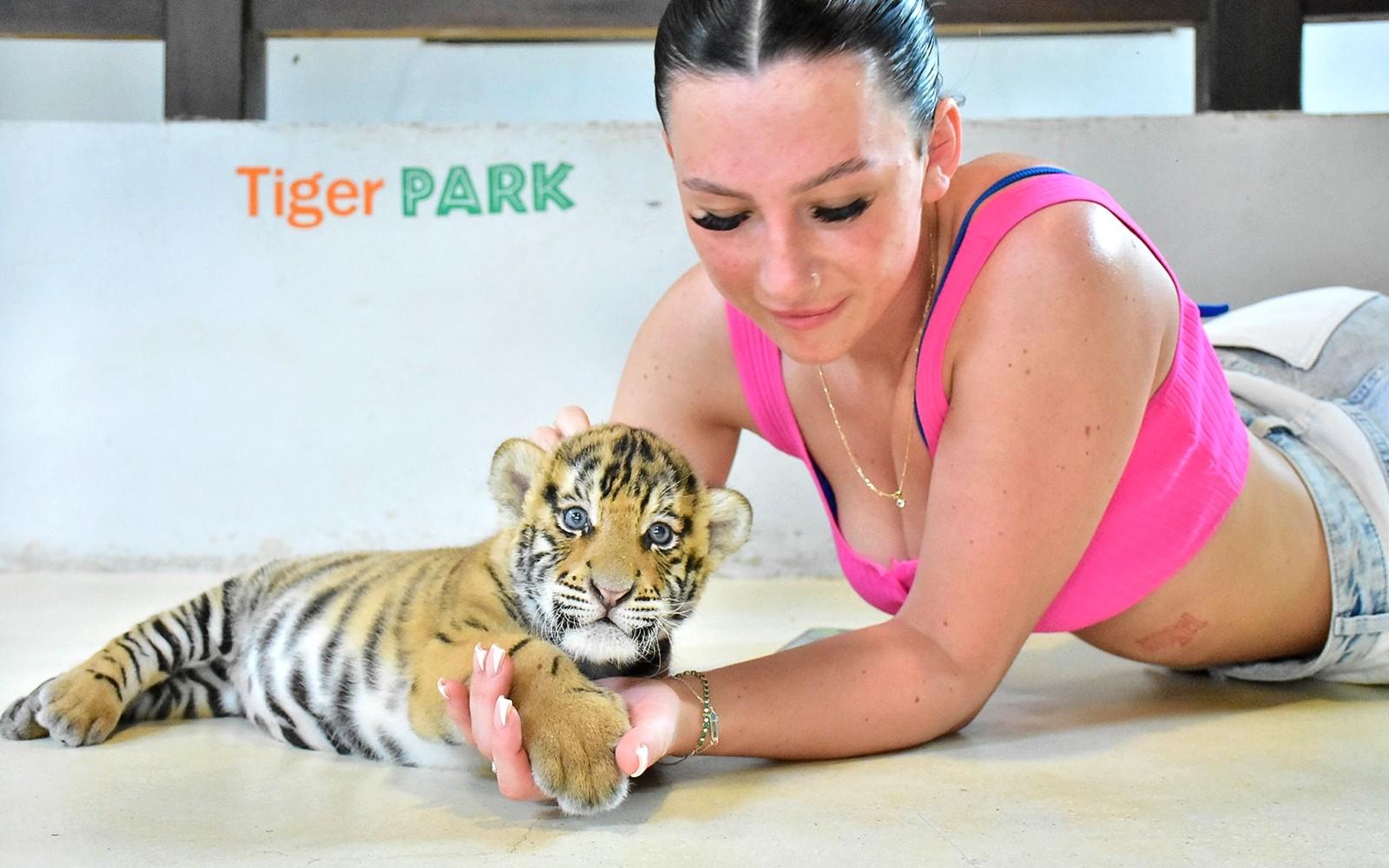 Tiger Park Tickets: Non-Thai Residents