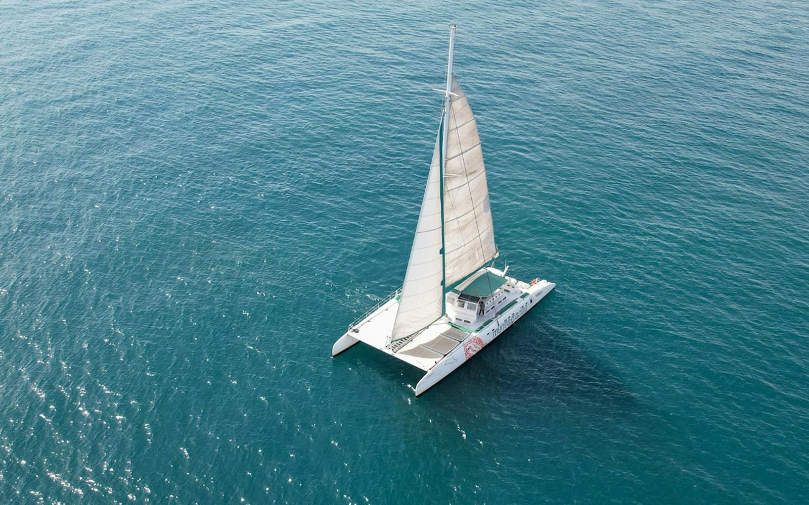 Valencia: Catamaran Sailing Experience