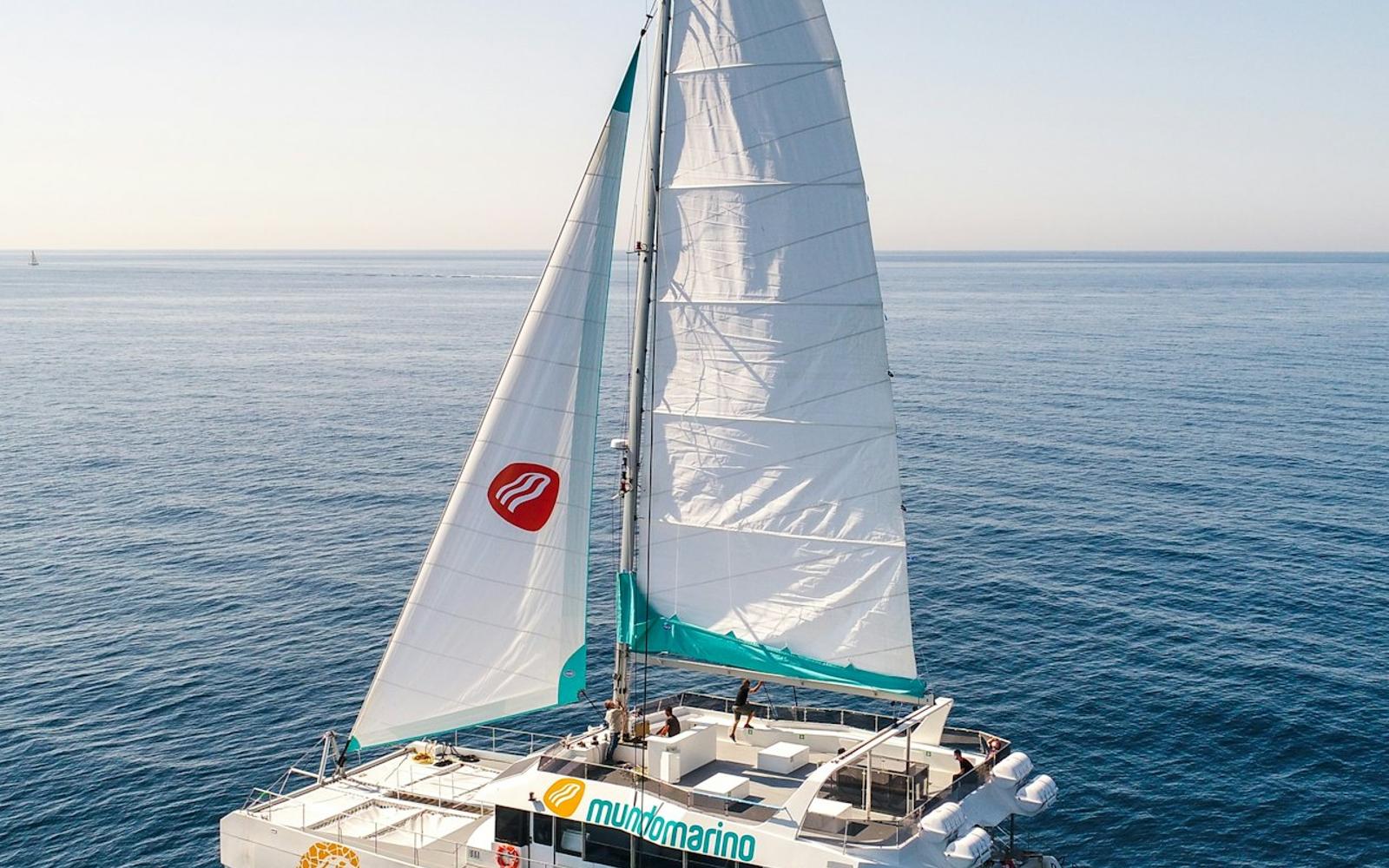 Malaga: Sunset Catamaran Cruise + Drink